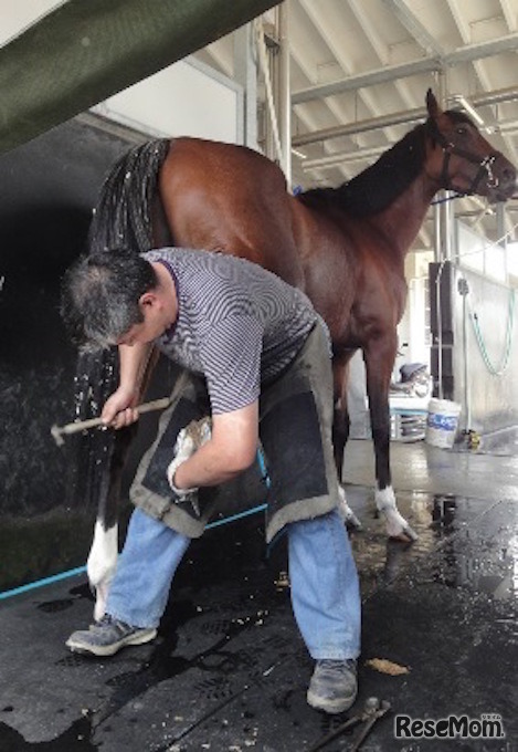 第10回グランプリ「蹄鉄師と競走馬」（中学生の部）