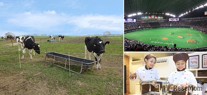 ニッポンハムグループ　食べる喜びを届ける仕事体験in北海道