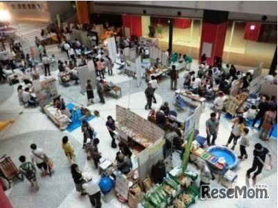 昨年度のようす