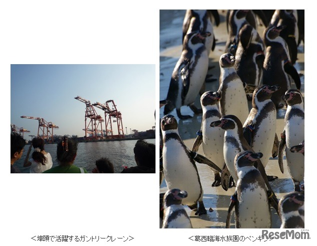 「水上バスサマークルーズ・東京港散歩と葛西臨海水族園」