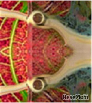 中山晃子氏「卵」