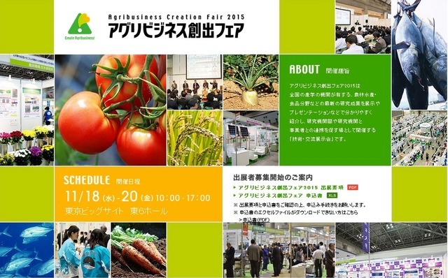 公式サイトのトップページ