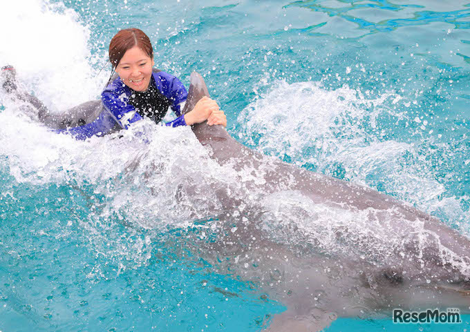 ワンダフルドルフィン参加のようす