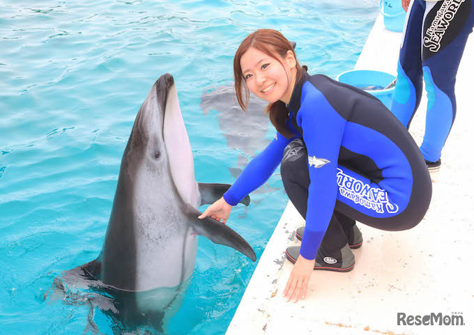 ワンダフルドルフィン参加のようす