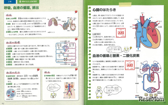 SciencAR（サイエンサー）中学理科