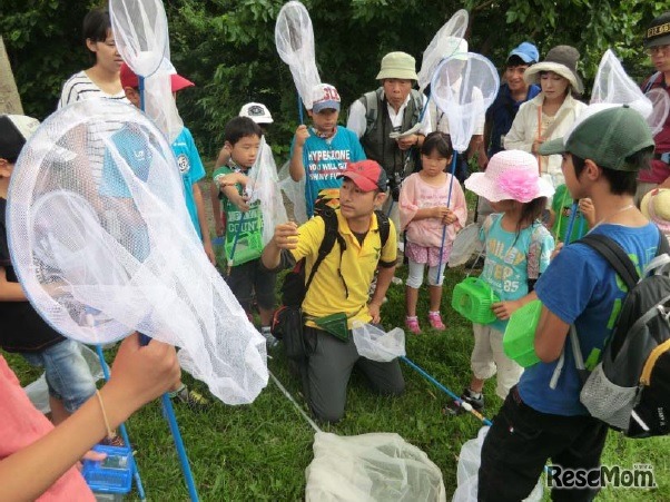 昆虫観察（昨年のようす）