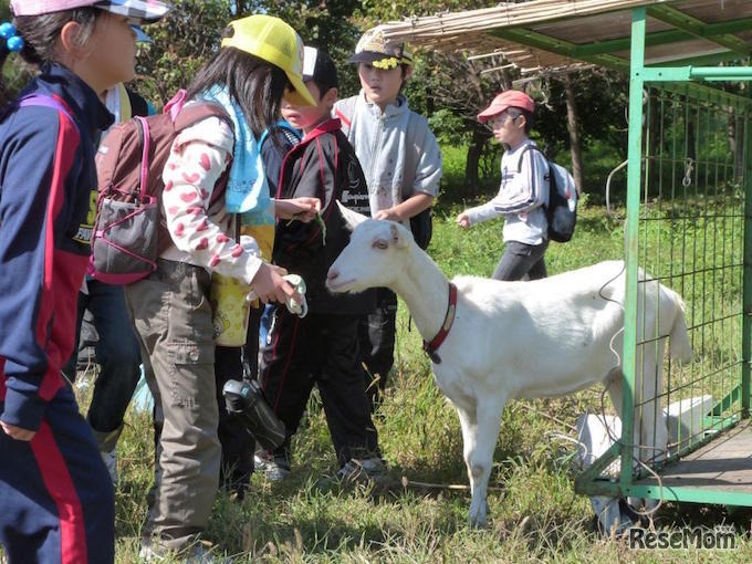 自然体験のようす