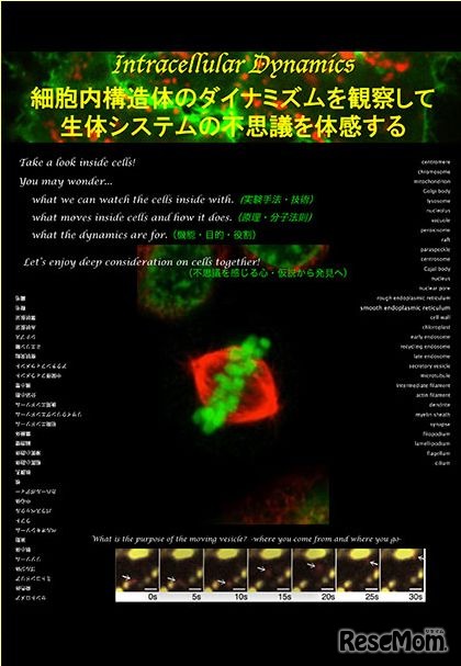 細胞内構造体のダイナミズムを観察して生体システムの不思議を体感する