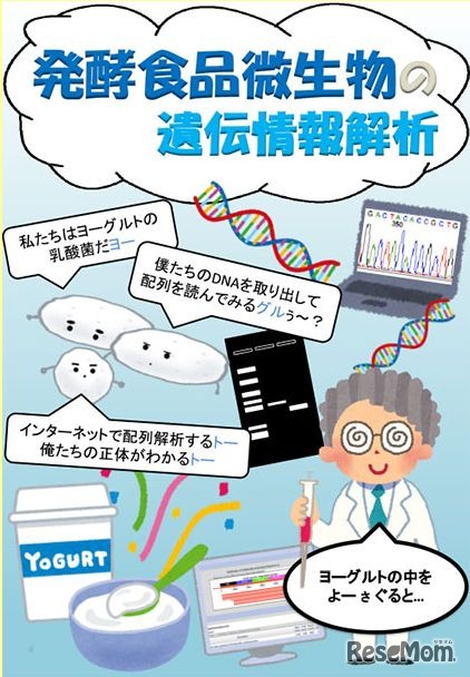 発酵食品微生物の遺伝情報解析