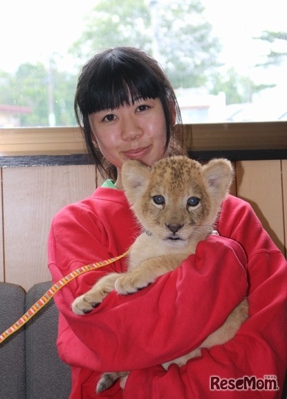 抱っこして写真撮影会