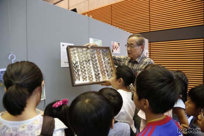 2014年のようす「昆虫ハカセのチョウチョ研究室」
