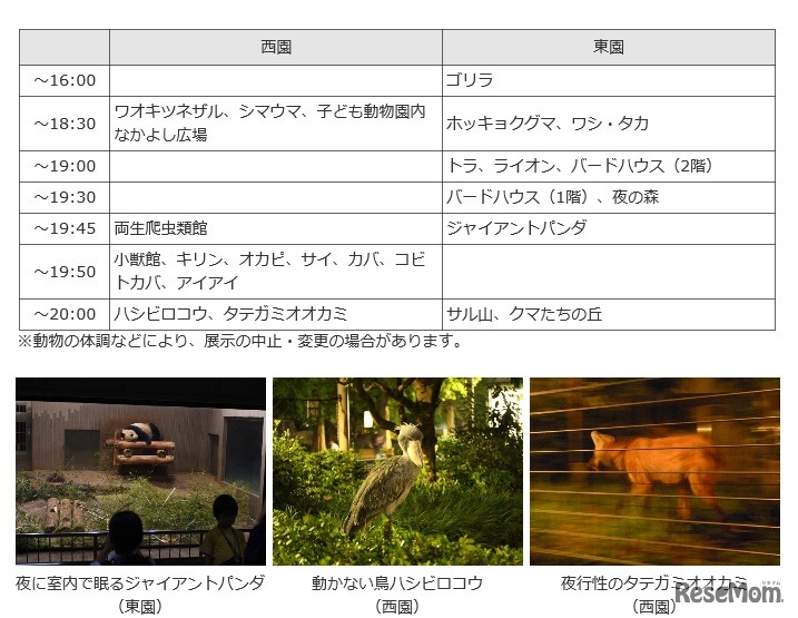 おもな動物や展示施設の観覧延長時間