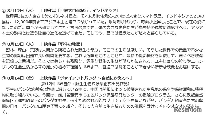 夜のどうぶつシアター