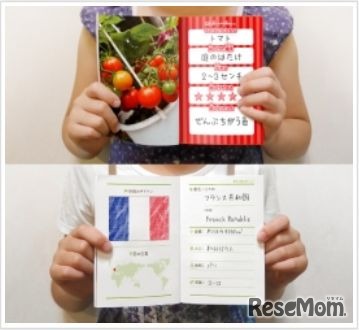 「自由研究ノート」キット・上段低学年向け、下段高学年向け