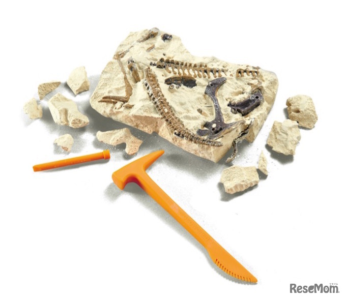 恐竜骨格発掘セット