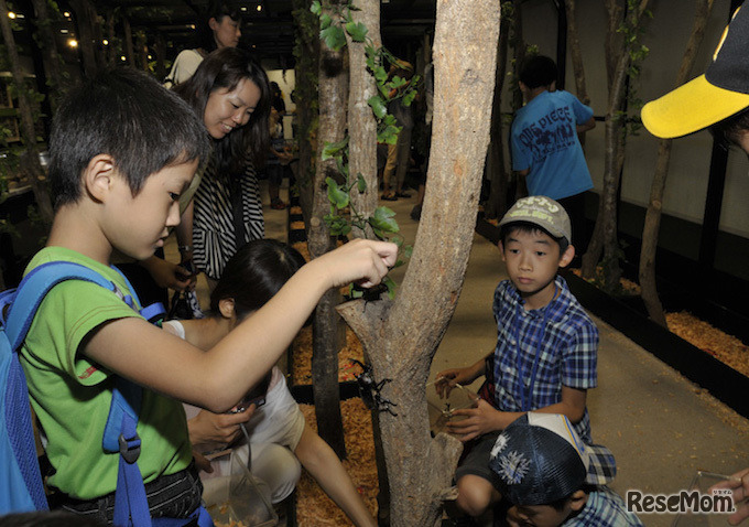 ふれあいジャングルのようす