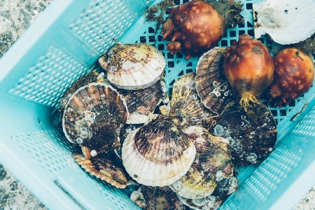 子ども向け複合体験施設「MORIUMIUS」が宮城にオープン…体験するプログラムを提供