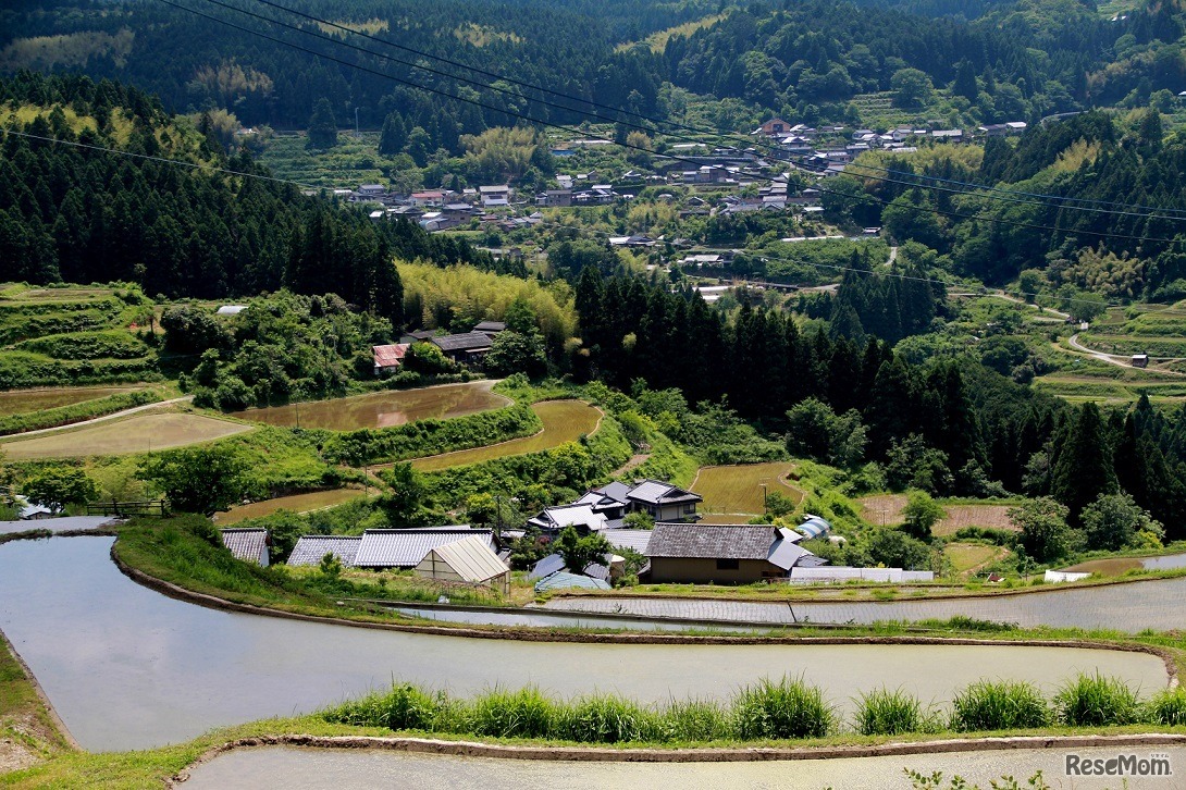 日本最大の森で学ぶ！未来のニッポン夏休みこども大学in 高知