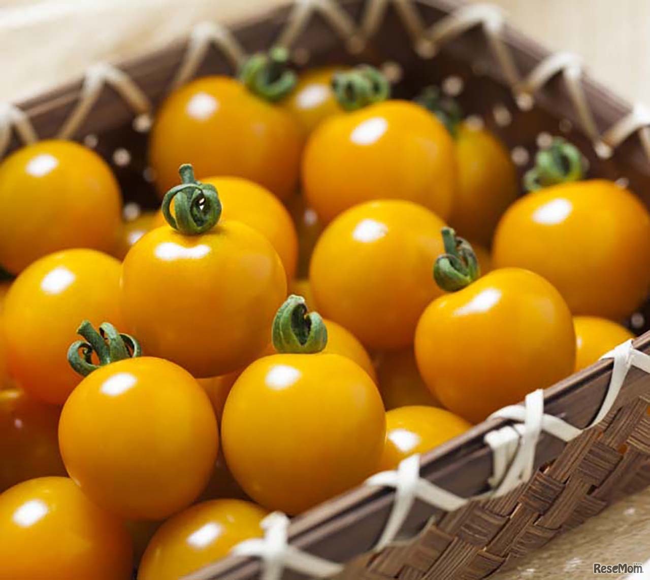 ミニトマト オレンジ千果
