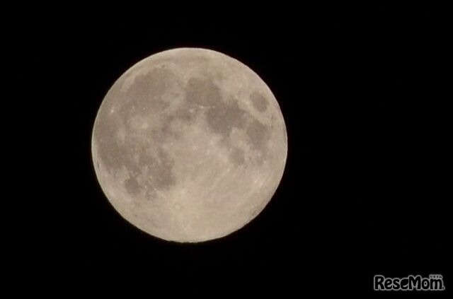 ブルームーン（写真はイメージ）