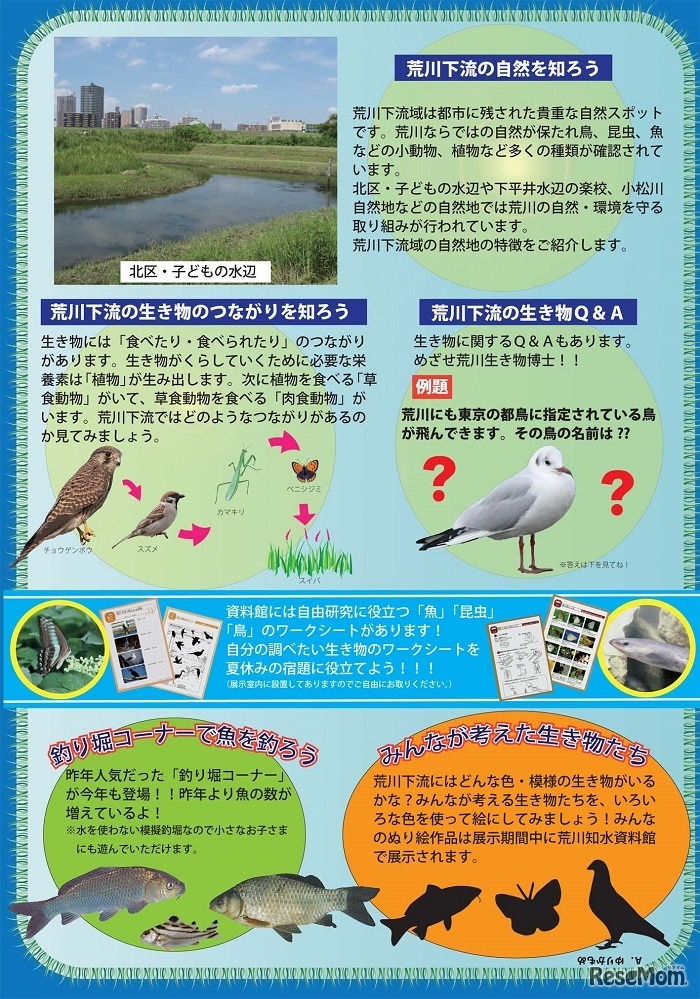 企画展「荒川下流の生き物たち」