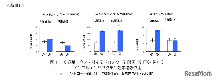 16週齢マウスに対するプロテクト乳酸菌のインフルエンザワクチン効果増強作用