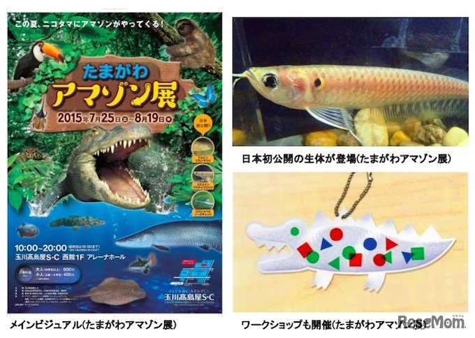 たまがわアマゾン展
