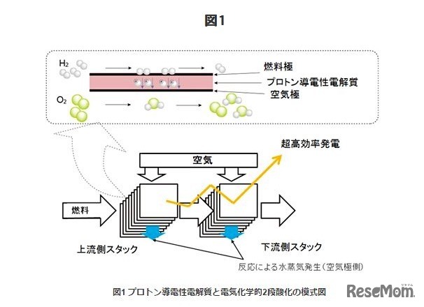 プロトン導電性電解質と電気化学的2段酸化の模式図