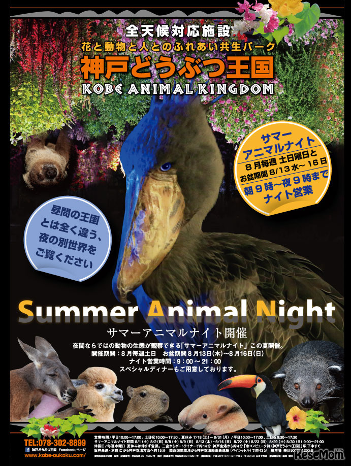 神戸どうぶつ王国「サマーアニマルナイト」