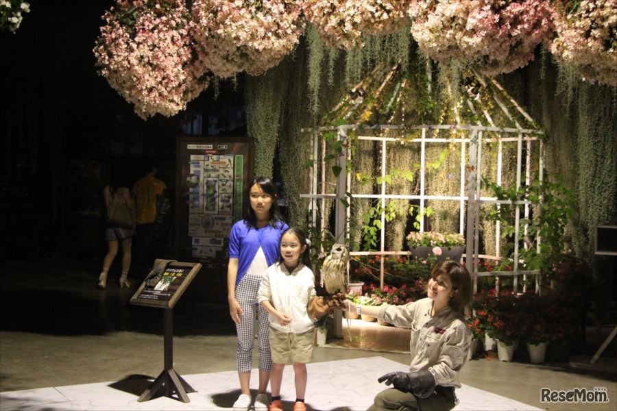 フクロウ記念撮影