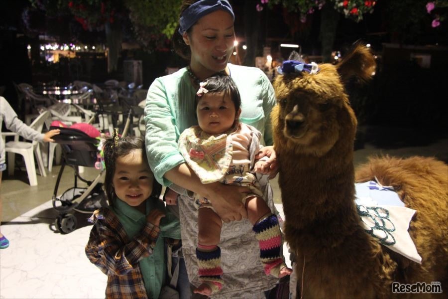 ナイト・アルパカお散歩