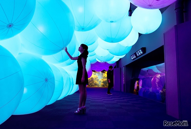 呼応する球体と夜の魚たち