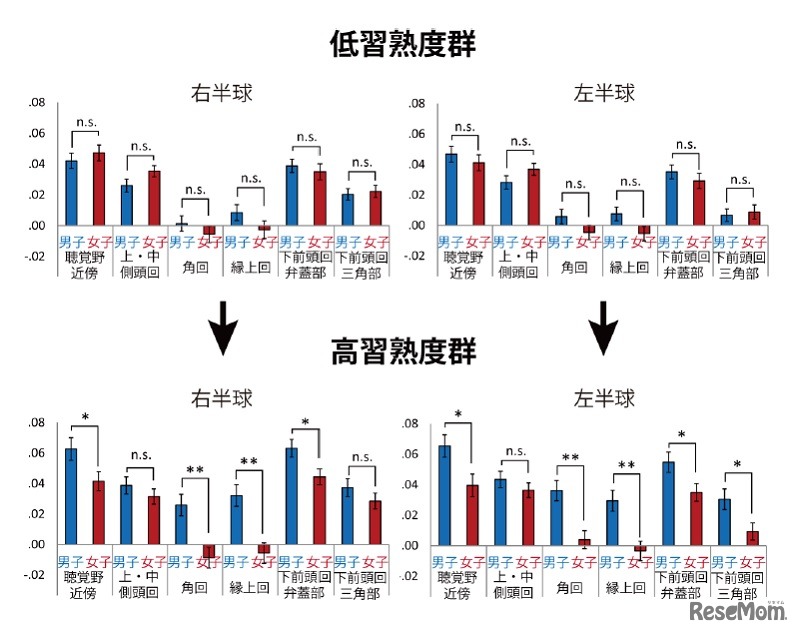 低習熟度群と高習熟度群のそれぞれにおける英語高頻度語復唱時の脳活動における性差