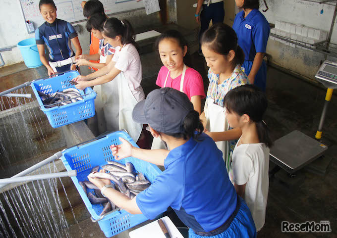 エサづくり体験