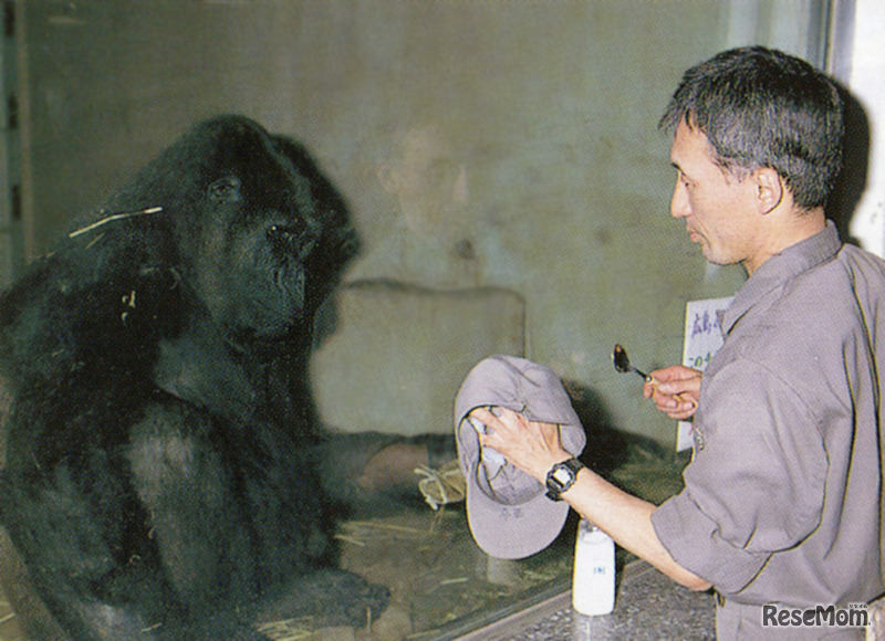 写真：（公財）東京動物園協会