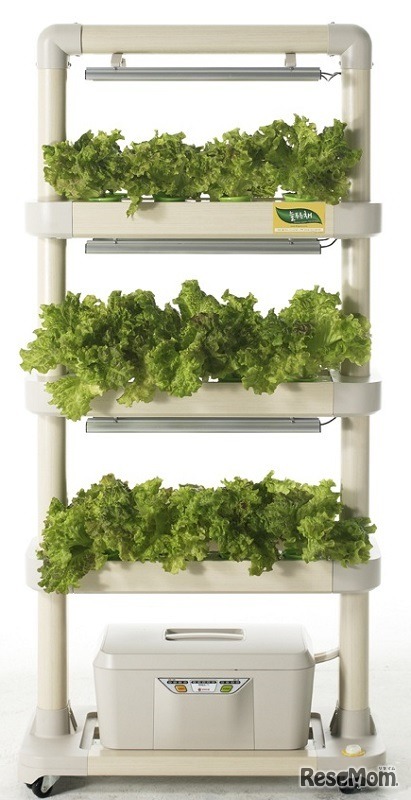 屋内設置型水耕栽培システム「箱庭栽培プロ」