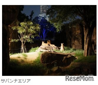 サバンナエリア　提供：天王寺動物公園事務所