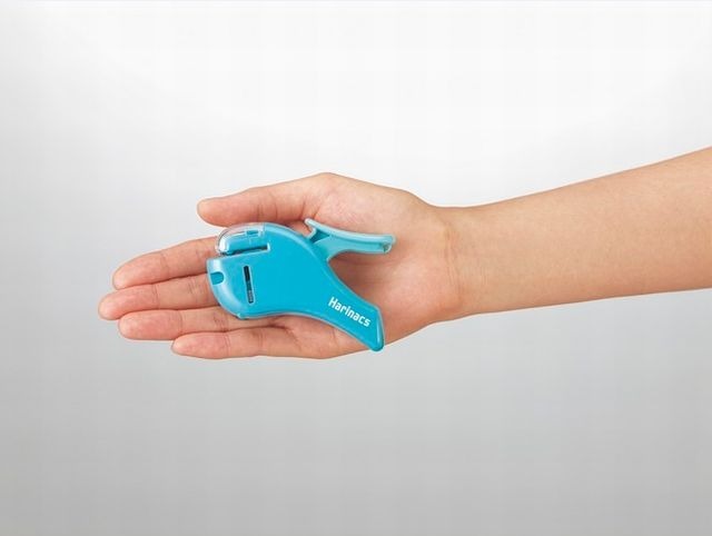 手のひらサイズ