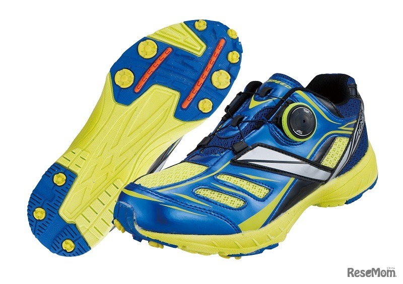 ブルー×グリーン