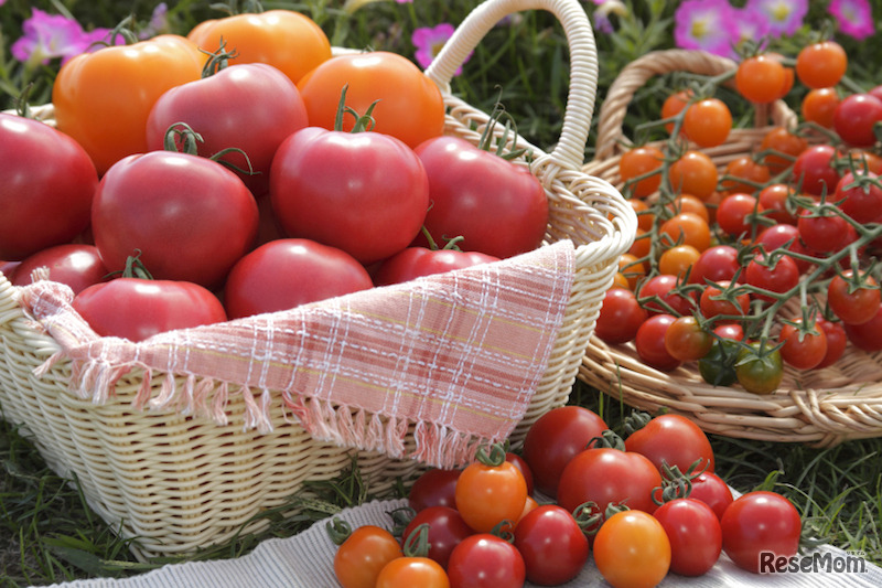 タキイ種苗「トマトに関する意識調査」