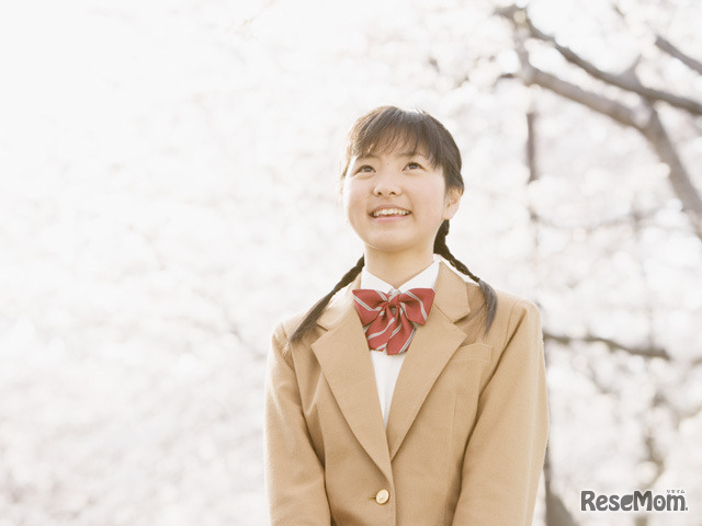 画像はイメージです。本文とは関係ありません