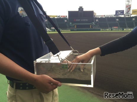 「甲子園の土」をさわる体験