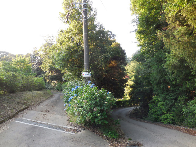 東京都自転車競技連盟が「秋の親子＆ペア・ブルベ」を開催