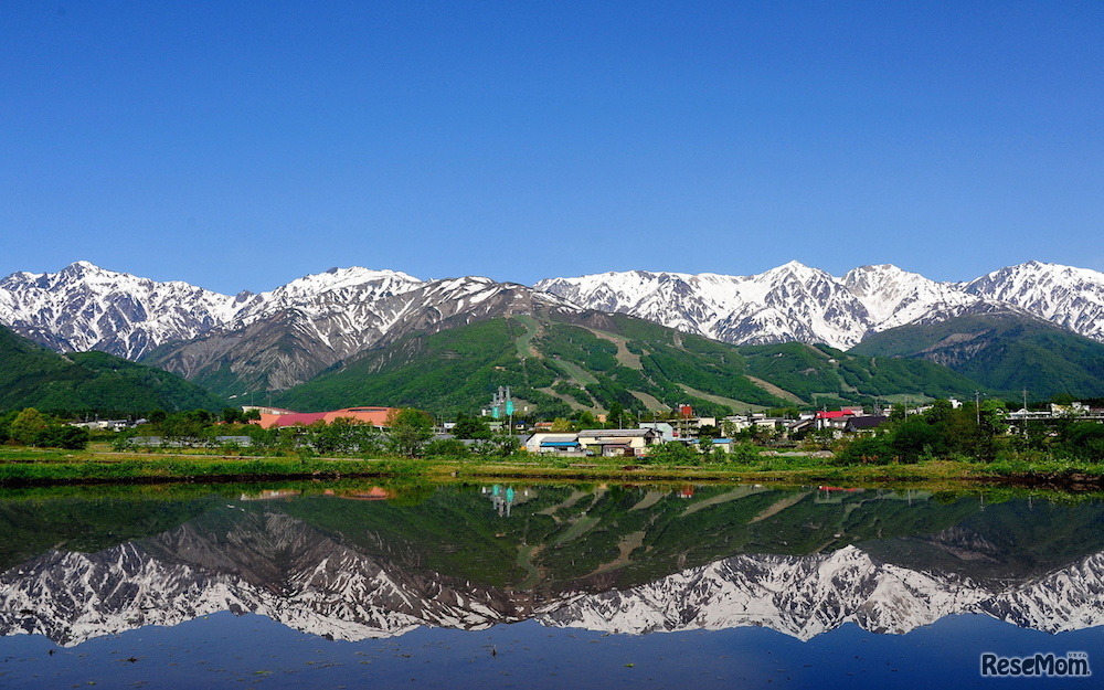 留学先の自然イメージ