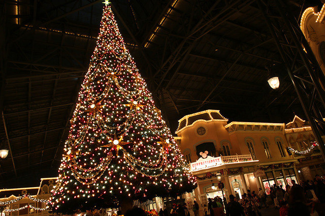 東京ディズニーランド (c) Disney