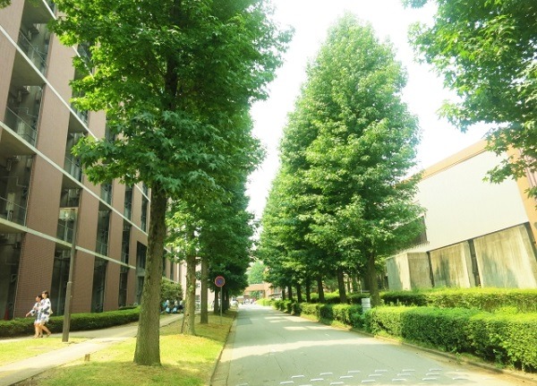 大学の学園祭シーズン到来！約7割のティーンが注目