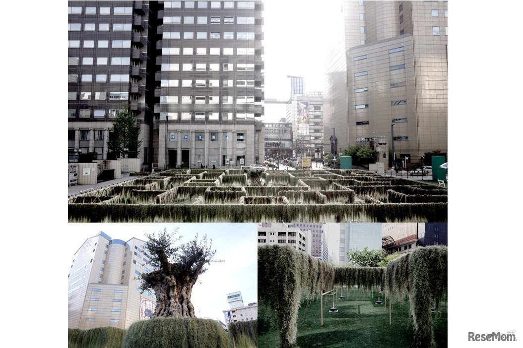 2015年春に開催された「迷宮植物園」