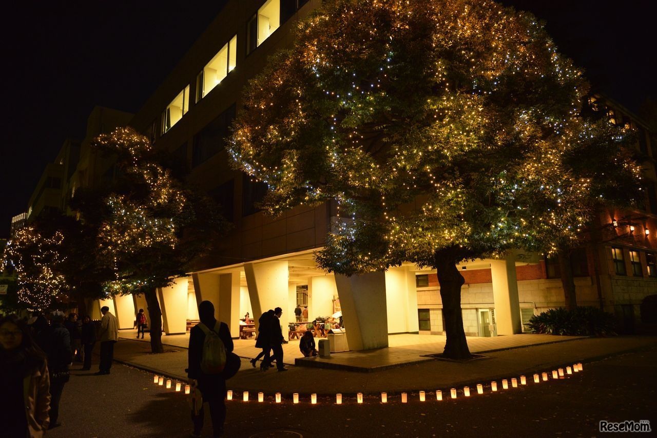 上智大学　（画像提供：上智大学）