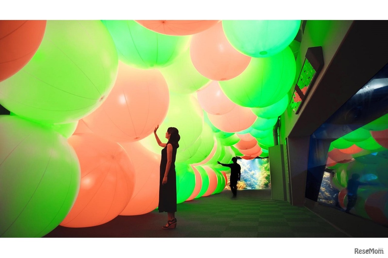 呼応する球体と夜の魚たち