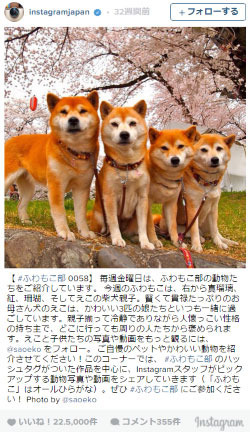 1位はやっぱりディズニー！日本の人気スポットランキング2015発表…インスタグラム